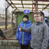 w-schronisku-dla-zwierzat